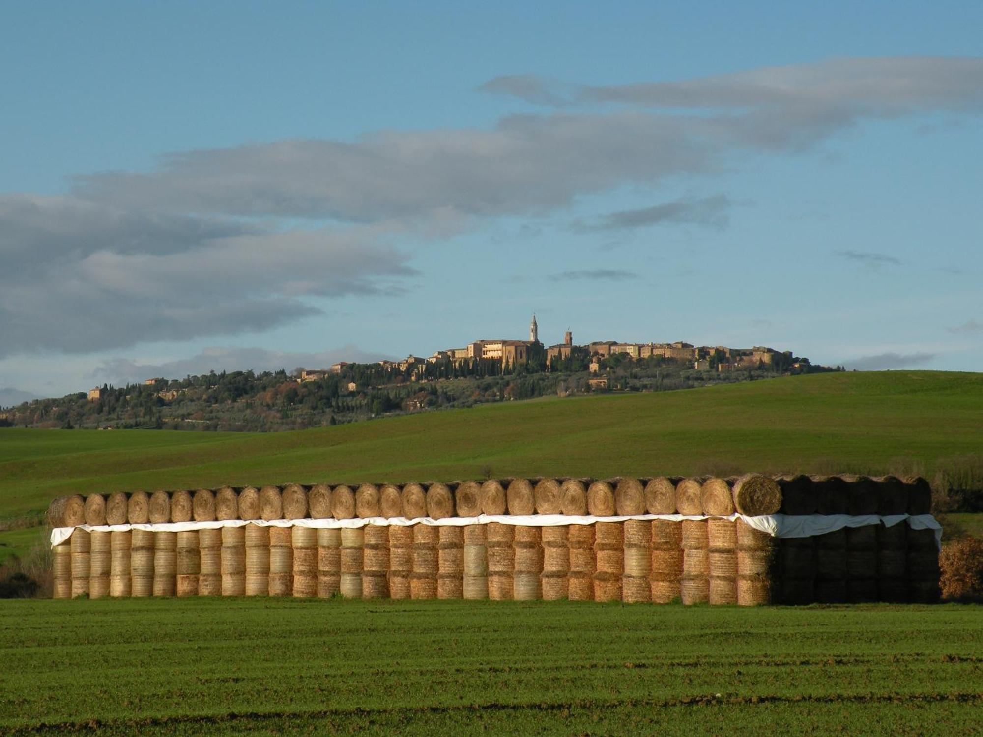 Agriturismo Bonello Villa Pienza Dış mekan fotoğraf