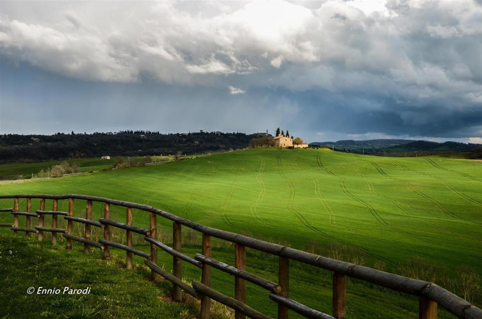 Agriturismo Bonello Villa Pienza Dış mekan fotoğraf