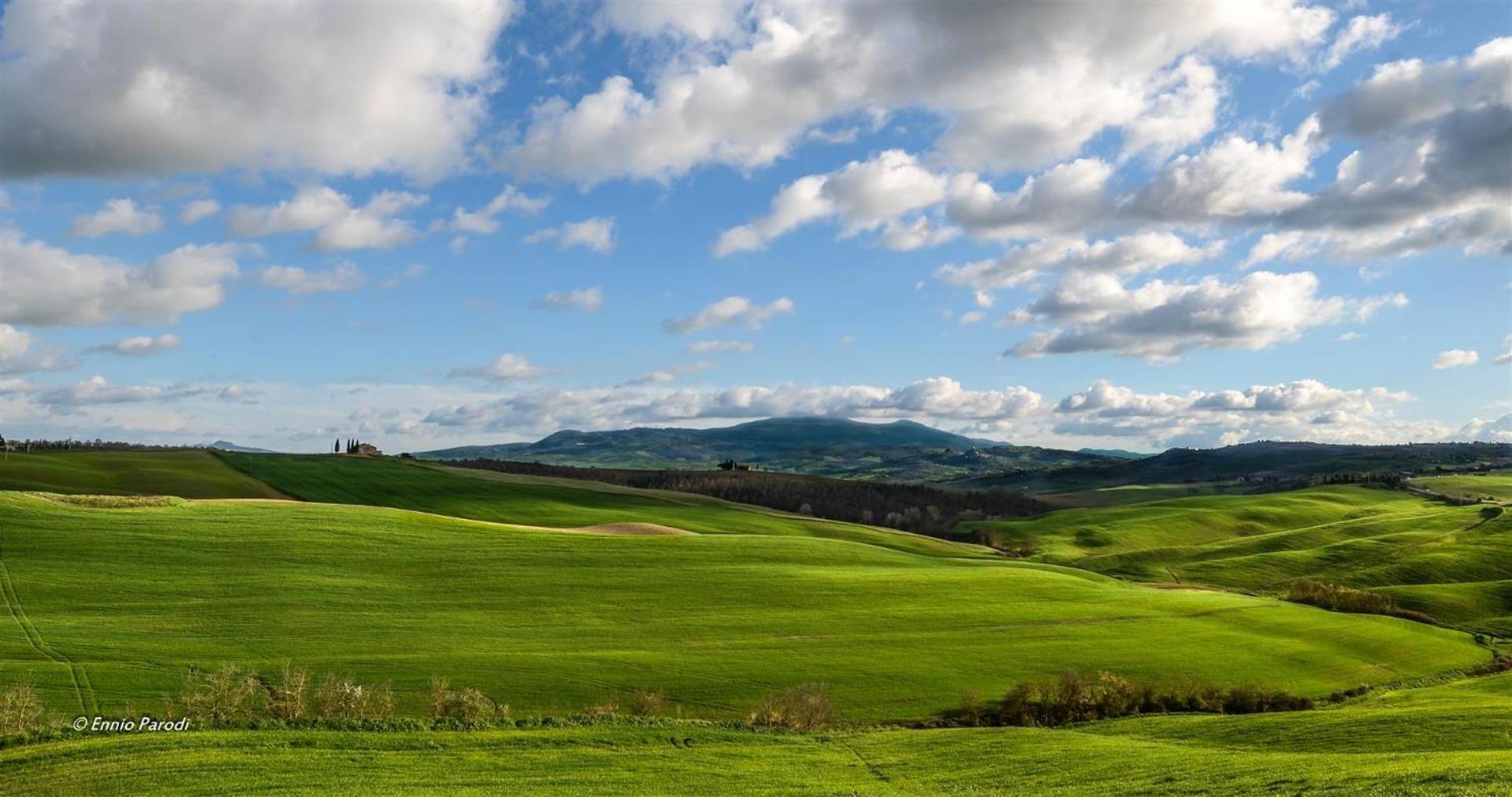 Agriturismo Bonello Villa Pienza Dış mekan fotoğraf