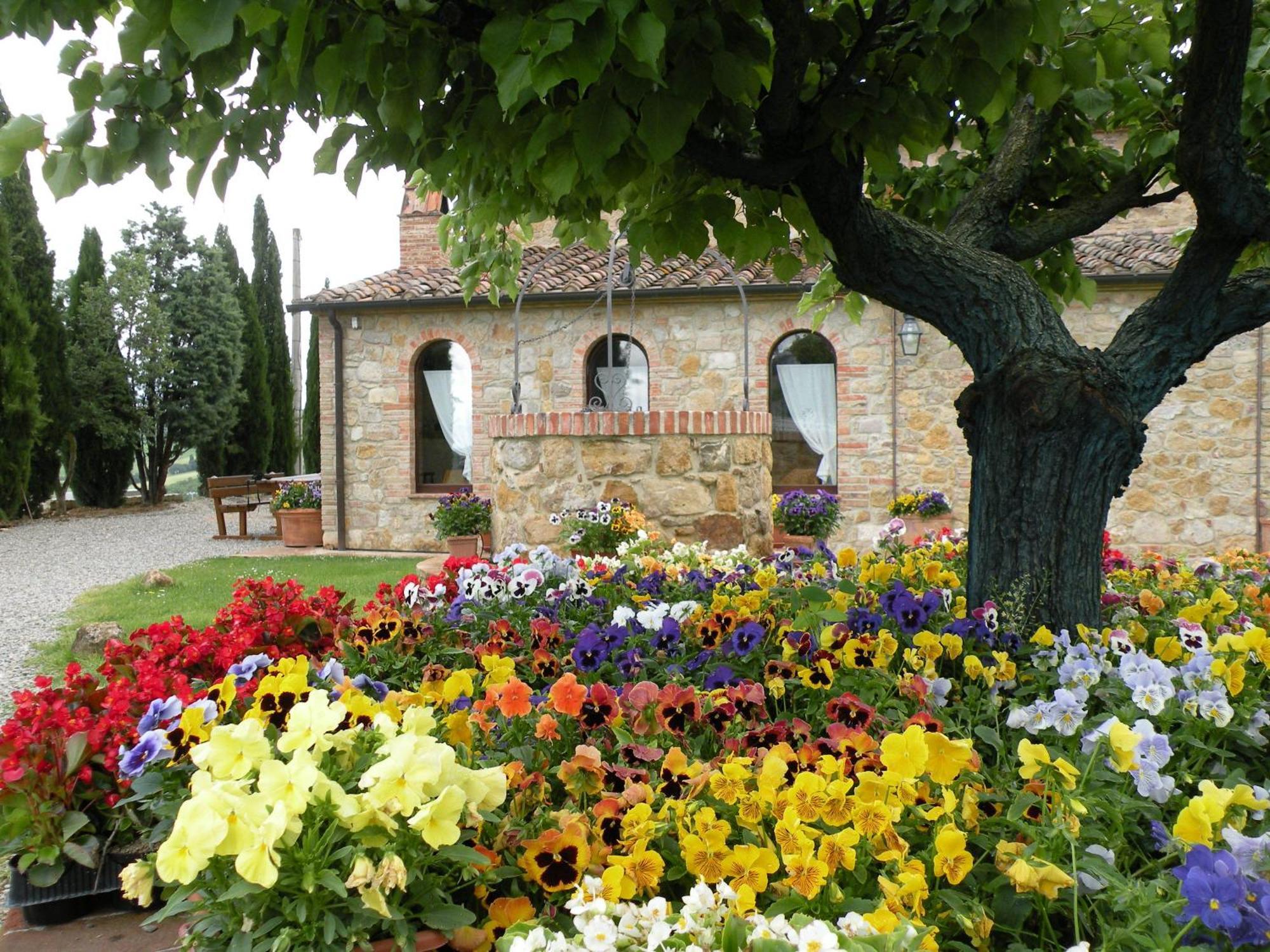 Agriturismo Bonello Villa Pienza Dış mekan fotoğraf