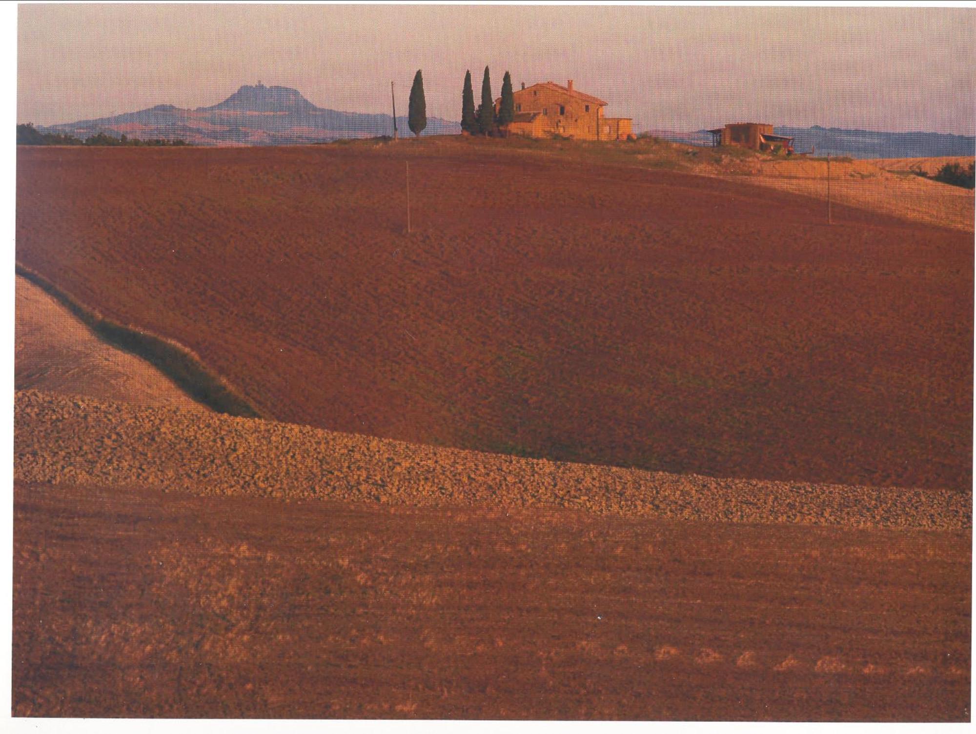 Agriturismo Bonello Villa Pienza Dış mekan fotoğraf