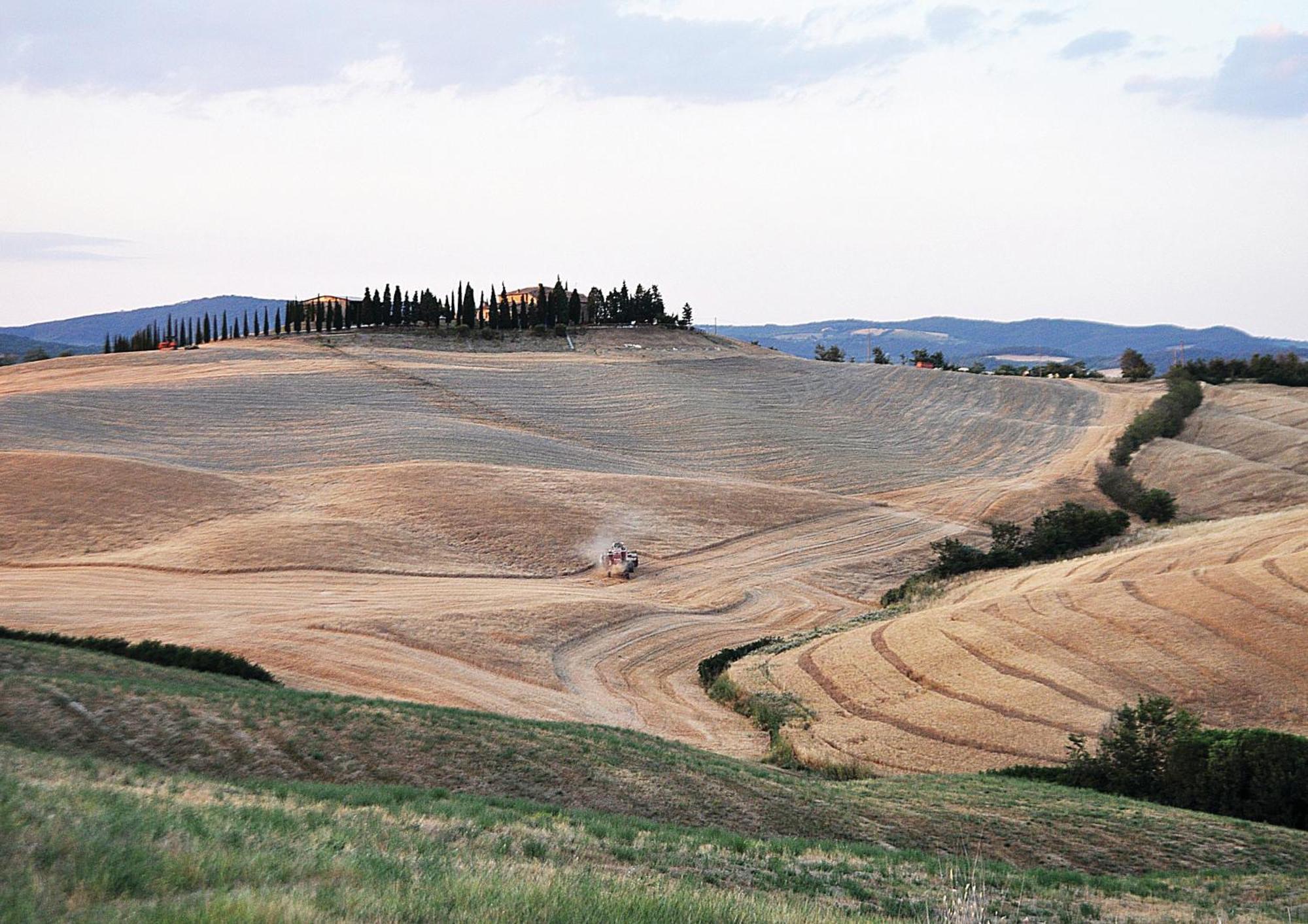 Agriturismo Bonello Villa Pienza Dış mekan fotoğraf