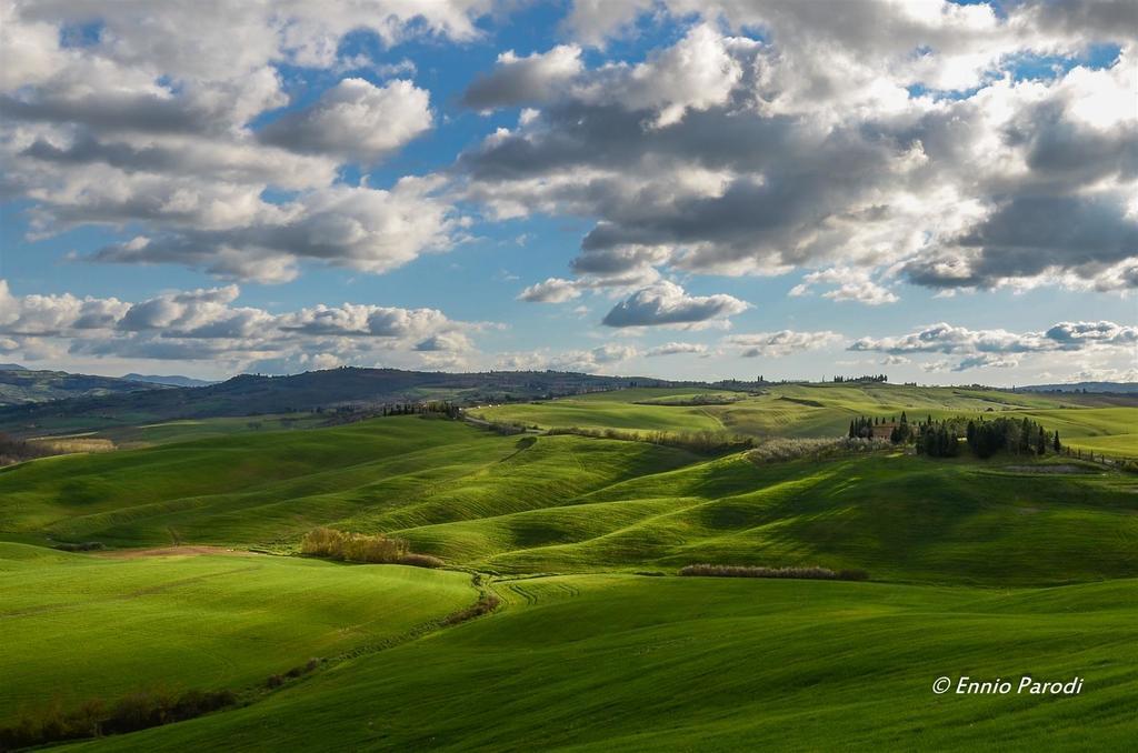 Agriturismo Bonello Pienza Dış mekan fotoğraf