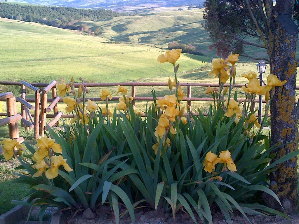 Agriturismo Bonello Villa Pienza Dış mekan fotoğraf