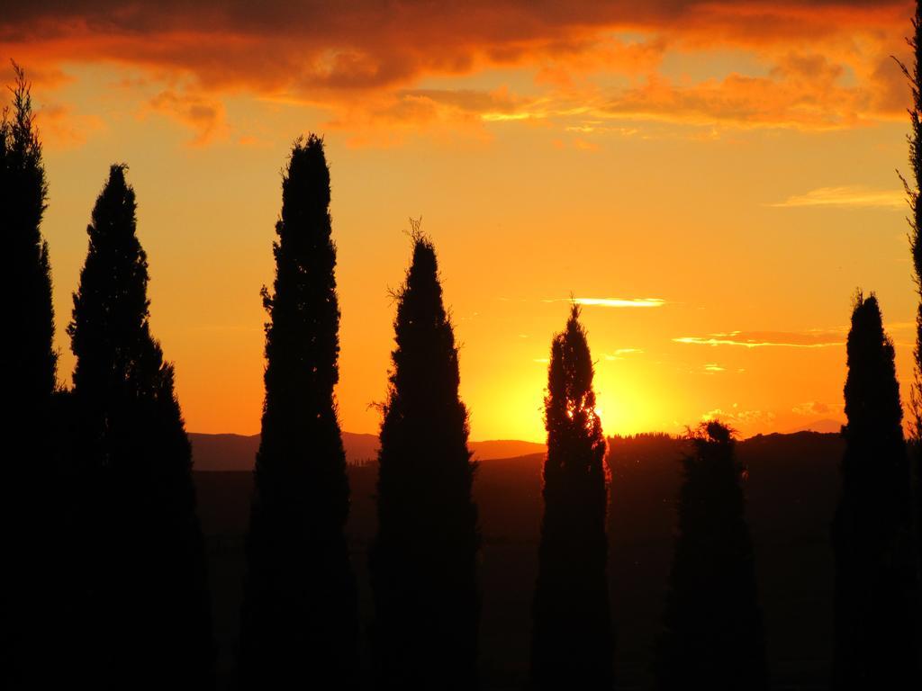 Agriturismo Bonello Villa Pienza Dış mekan fotoğraf