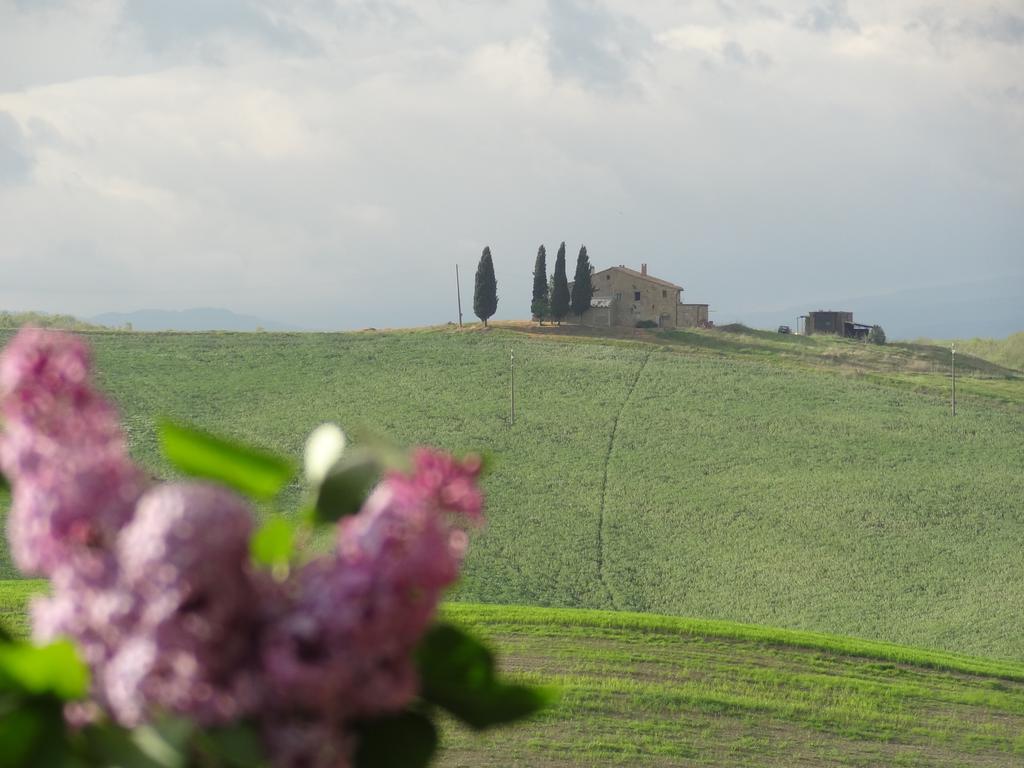 Agriturismo Bonello Villa Pienza Dış mekan fotoğraf